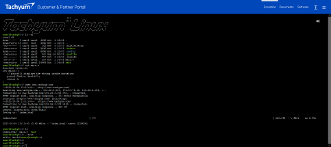Screenshot of emulation system terminal in Customer & Partner Portal